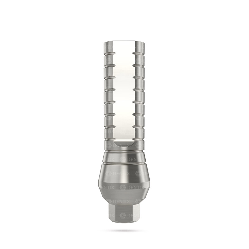 dentix abutment recto hexinterno(sp) 06