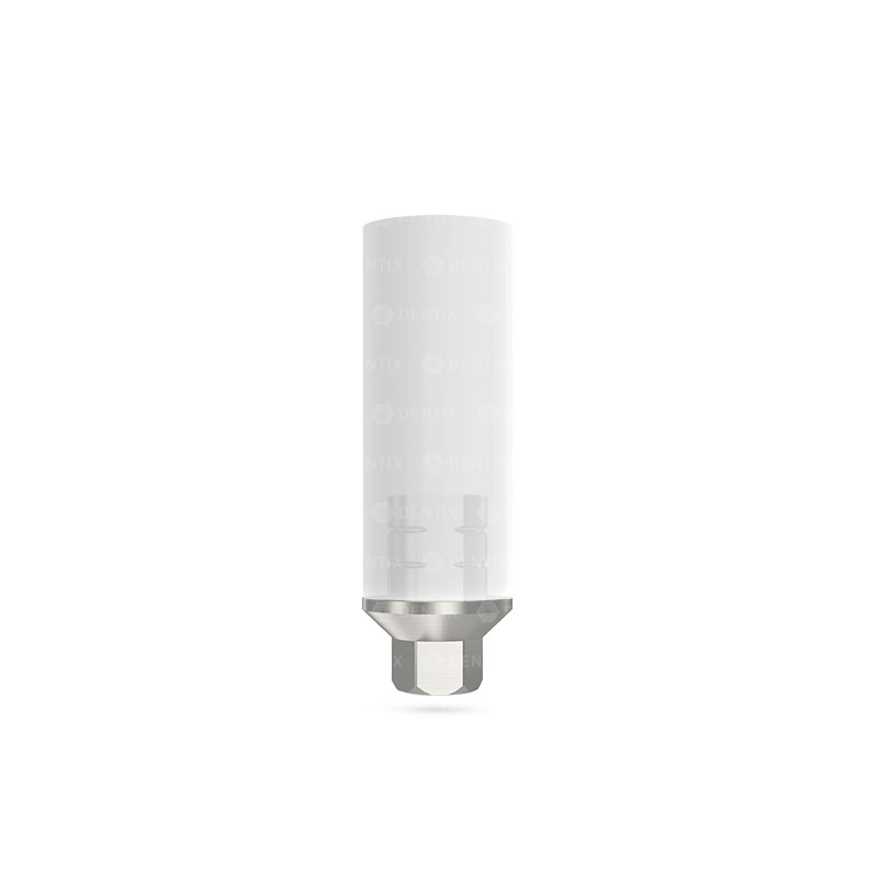 dentix ucla abutment base cromo cobalto hexagonal 05mm hexinterno(sp) 01