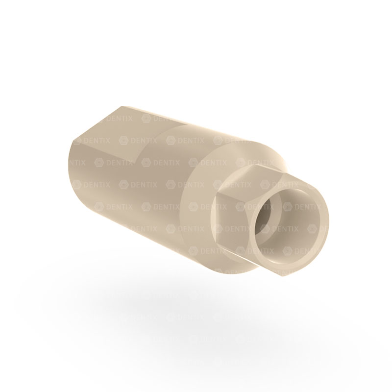 dentix 35 abutment peek escaneo cad cam hexinterno(np) 04