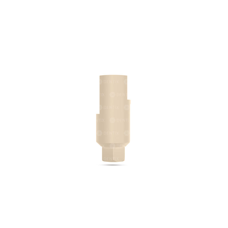 dentix 45 abutment peek escaneo cad cam hexinterno(sp) 06